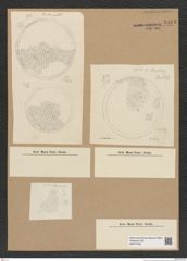 Diatomeae indet. Zeichnungen Sammlung Grunow Nr. 8483 (NHMW-BOT-W0377942)